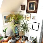 בית נופש 6br Designer Or Separate 2br Option