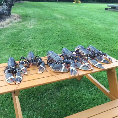 Tatil Evi 6br Designer Or Separate 2br Option