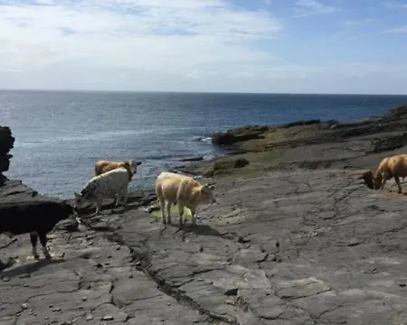 6br Designer Or Separate 2br Option Fethard-on-Sea