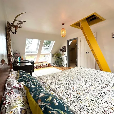 6br Designer Or Separate 2br Option Tatil Evi Fethard-on-Sea