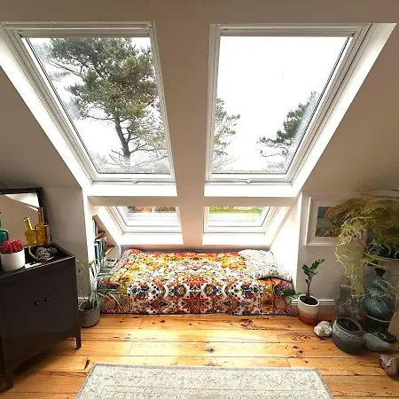 6br Designer Or Separate 2br Option Tatil Evi