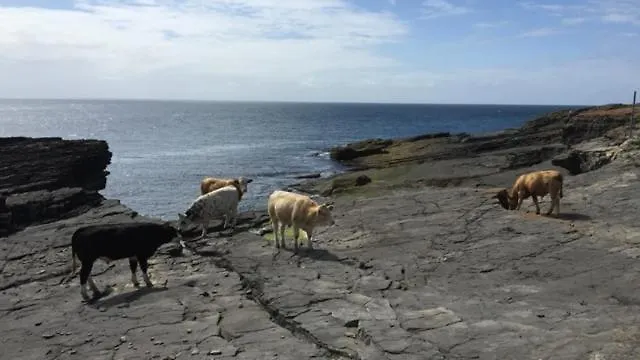 6br Designer Or Separate 2br Option Fethard-on-Sea