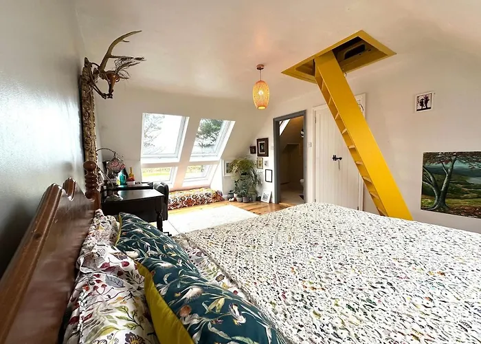 6br Designer Or Separate 2br Option Vakantiehuis Fethard-on-Sea